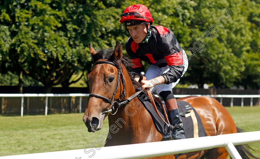 Pouting-0001 
 POUTING (Finley Marsh)
Newmarket 29 Jun 2024 - Pic Steven Cargill / Racingfotos.com