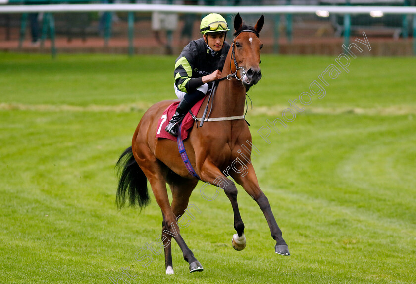 Aphrodites-Rock-0001 
 APHRODITES ROCK (Pierre-Louis Jamin)
Haydock 24 May 2024 - Pic Steven cargill / Racingfotos.com