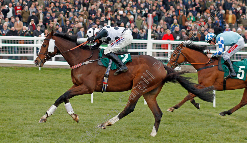 Gino-Trail-0008 
 GINO TRAIL (Harry Skelton) wins The Junior Jumpers Handicap Chase Cheltenham 16 Dec 2017 - Pic Steven Cargill / Racingfotos.com