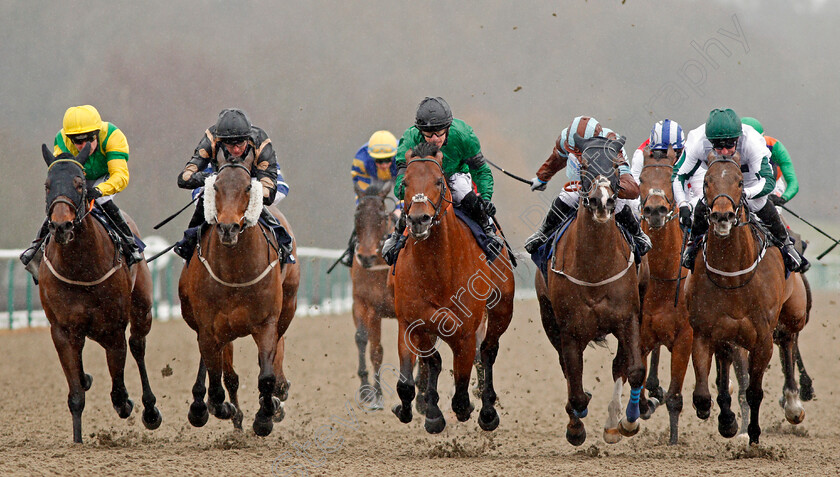 Kachy-0006 
 KACHY (centre, Richard Kingscote) beats KIMBERELLA (right) CASPIAN PRINCE (2nd right) and INTISAAB (2nd left) in The Betway Cleves Stakes Lingfield 3 Feb 2018 - Pic Steven Cargill / Racingfotos.com