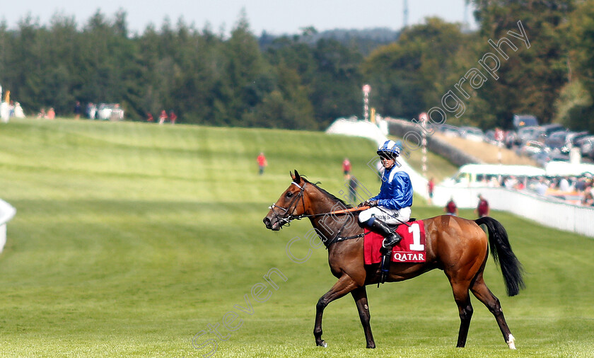 Battaash-0010 
 BATTAASH (Jim Crowley) after The King George Qatar Stakes
Goodwood 2 Aug 2019 - Pic Steven Cargill / Racingfotos.com