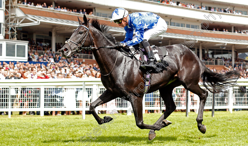 Qarasu-0005 
 QARASU (Jason Watson) wins The Energy Check Handicap Div 1
Newbury 17 Aug 2019 - Pic Steven Cargill / Racingfotos.com