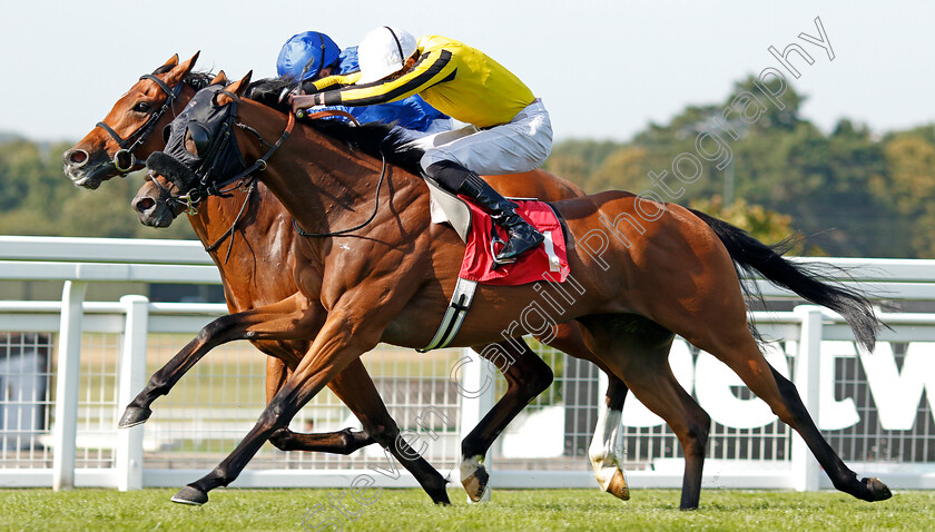 Lyndon-B-0004 
 LYNDON B (James Doyle) beats MARHABAN (farside) in The Play 4 To Score At Betway Handicap
Sandown 30 Aug 2019 - Pic Steven Cargill / Racingfotos.com