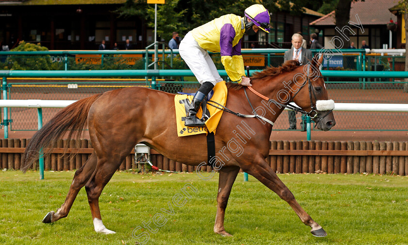 Brando-0001 
 BRANDO (Tom Eaves)
Haydock 5 Sep 2020 - Pic Steven Cargill / Racingfotos.com