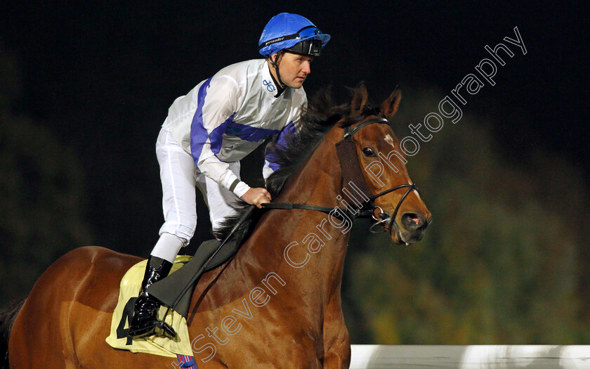 Protected-Guest-0002 
 PROTECTED GUEST (Tom Queally)
Kempton 10 Nov 2021 - Pic Steven Cargill / Racingfotos.com