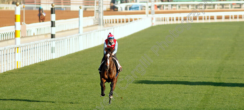 Roberto-Escobarr-0002 
 ROBERTO ESCOBARR training for The Red Sea Turf Handicap
King Abdulaziz Racecourse, Saudi Arabia 21 Feb 2024 - Pic Steven Cargill / Racingfotos.com