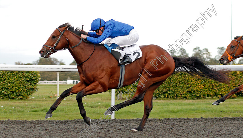 Desert-Peace-0004 
 DESERT PEACE (William Buick) wins The Close Brothers British Stallion Studs EBF Novice Stakes
Kempton 9 Oct 2019 - Pic Steven Cargill / Racingfotos.com