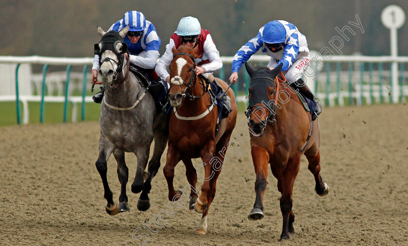 Murhib-0002 
 MURHIB (right, Robert Havlin) beats ARABESCATO (left, Adam Kirby) and THREE DRAGONS (centre, Joe Fanning) in The Heed Your Hunch At Betway Handicap
Lingfield 6 Feb 2021 - Pic Steven Cargill / Racingfotos.com