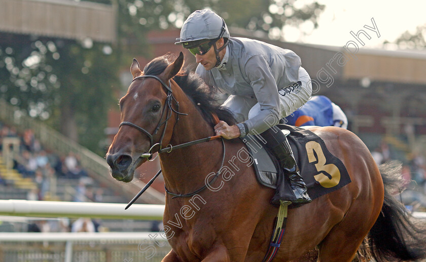 King s-Gamble-0001 
 KING'S GAMBLE (Daniel Tudhope) wins The British Stallion Studs EBF Novice Stakes
Newmarket 4 Aug 2023 - Pic Steven Cargill / Racingfotos.com