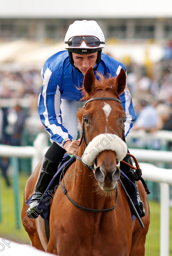 Looking-For-Queen-0001 
 LOOKING FOR QUEEN (Rossa Ryan)
Doncaster 15 Sep 2023 - Pic Steven Cargill / Racingfotos.com