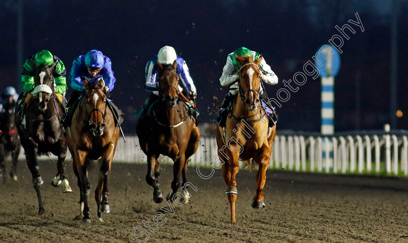 Sand-Gazelle-0003 
 SAND GAZELLE (right, Kieran Shoemark) beats DANCING COLOURS (left) in The Unibet EBF Fillies Novice Stakes
Kempton 4 Dec 2024 - pic Steven Cargill / Racingfotos.com