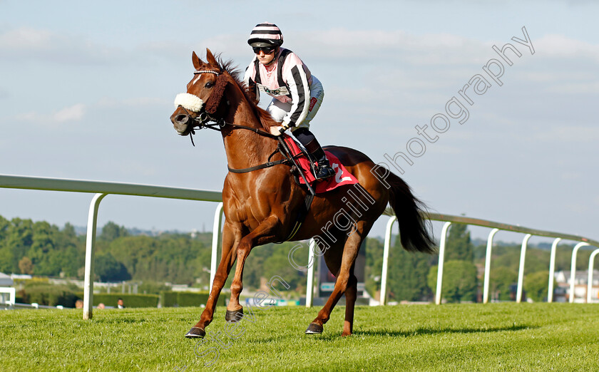 Lady-Reset-0001 
 LADY RESET (Hollie Doyle)
Sandown 25 May 2023 - Pic Steven Cargill / Racingfotos.com