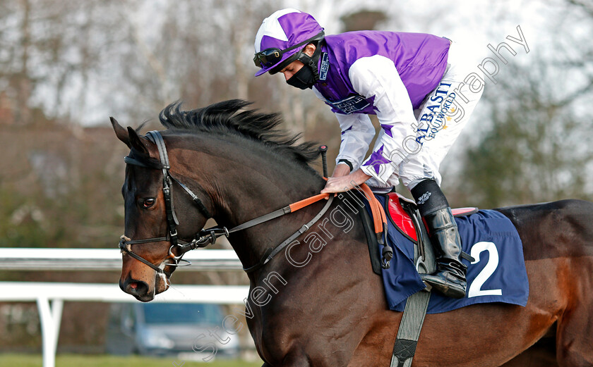 Crimson-Sand-0001 
 CRIMSON SAND (Ryan Moore) winner of The Betway Maiden Stakes
Lingfield 27 Feb 2021 - Pic Steven Cargill / Racingfotos.com