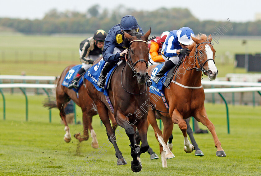 Muffri Ha-0003 
 MUFFRI'HA (Pat Cosgrave) beats TISBUTADREAM (right) in The Muhaarar British EBF Rosemary Stakes Newmarket 29 Sep 2017 - Pic Steven Cargill / Racingfotos.com