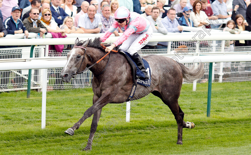 Phoenix-Of-Spain-0005 
 PHOENIX OF SPAIN (Jamie Spencer) wins The Tattersalls Acomb Stakes
York 22 Aug 2018 - Pic Steven Cargill / Racingfotos.com