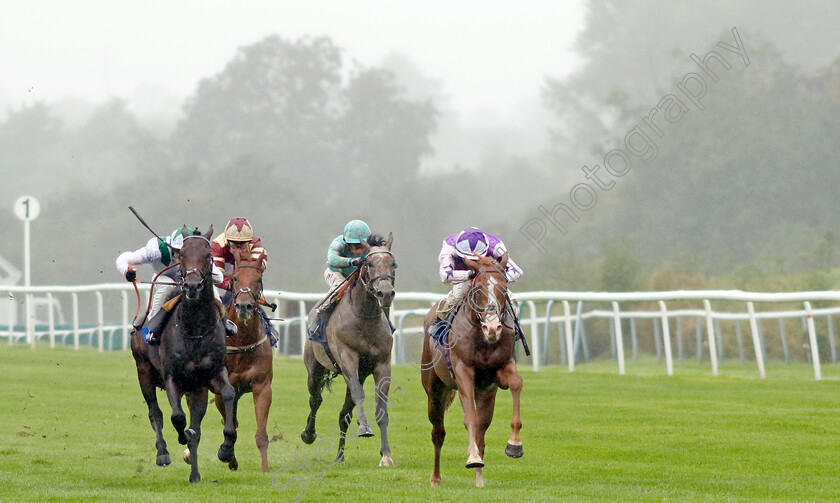 Starzintheireyes-0008 
 STARZINTHEIREYES (Rossa Ryan) wins The British Stallion Studs EBF Novice Stakes
Leicester 10 Sep 2024 - Pic Steven Cargill / Racingfotos.com