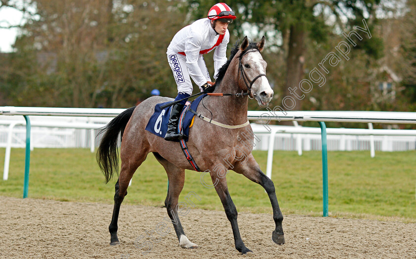 Stately-Home-0001 
 STATELY HOME (Callum Rodriguez)
Lingfield 4 Jan 2020 - Pic Steven Cargill / Racingfotos.com