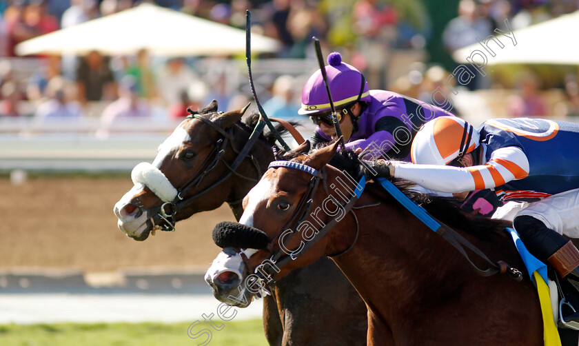 Wet-My-Beak-0001 
 WET MY BEAK (left, Jose Ortiz) beats ELM DRIVE (right) in The Senator Ken Maddy Stakes
Santa Anita 3 Nov 2023 - Pic Steven Cargill / Racingfotos.com