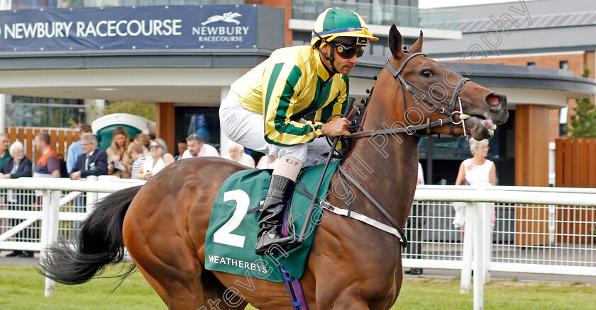 Baileys-In-Bloom-0001 
 BAILEYS IN BLOOM (Royston Ffrench)
Newbury 20 Jul 2019 - Pic Steven Cargill / Racingfotos.com