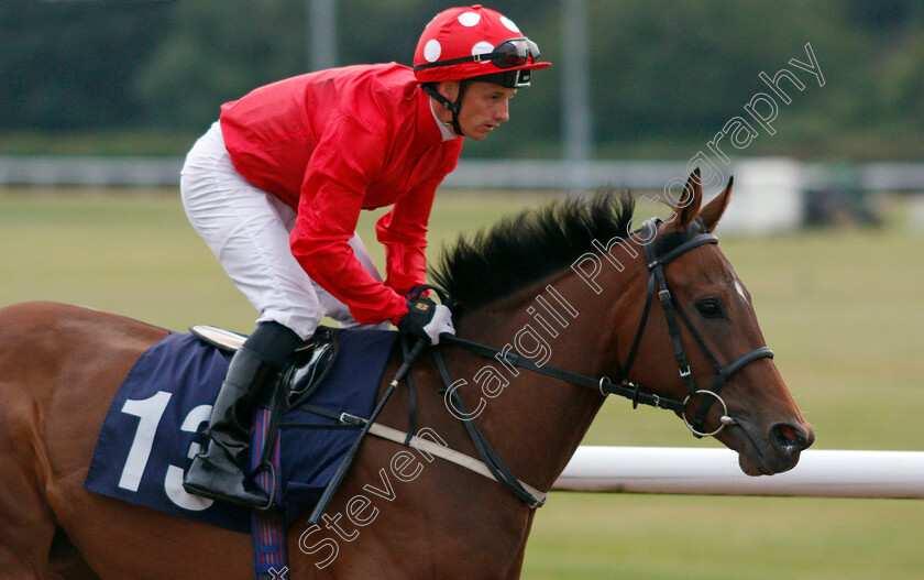 Springwood-Drive-0002 
 SPRINGWOOD DRIVE (David Allan)
Wolverhampton 17 Jul 2019 - Pic Steven Cargill / Racingfotos.com