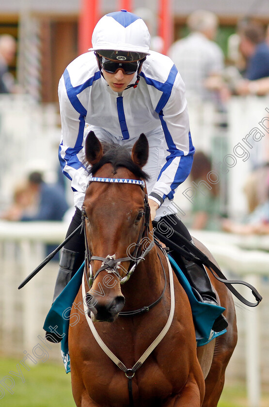 Buccabay-0001 
 BUCCABAY (Harry Davies)
York 17 Jun 2023 - Pic Steven Cargill / Racingfotos.com