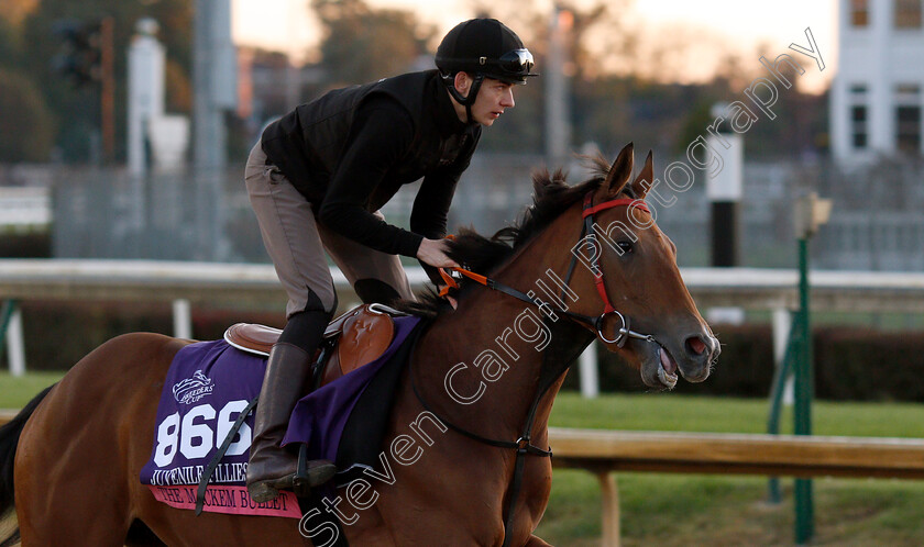 The-Mackem-Bullet-0002 
 THE MACKEM BULLET exercising ahead of The Breeders' Cup Juvenile Fillies Turf
Churchill Downs USA 29 Oct 2018 - Pic Steven Cargill / Racingfotos.com