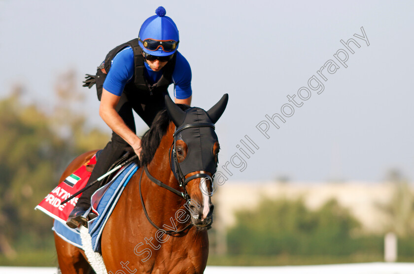 Nations-Pride-0003 
 NATIONS PRIDE training for the Bahrain International Trophy
Kingdom of Bahrain 13 Nov 2024 - Pic Steven Cargill / Racingfotos.com