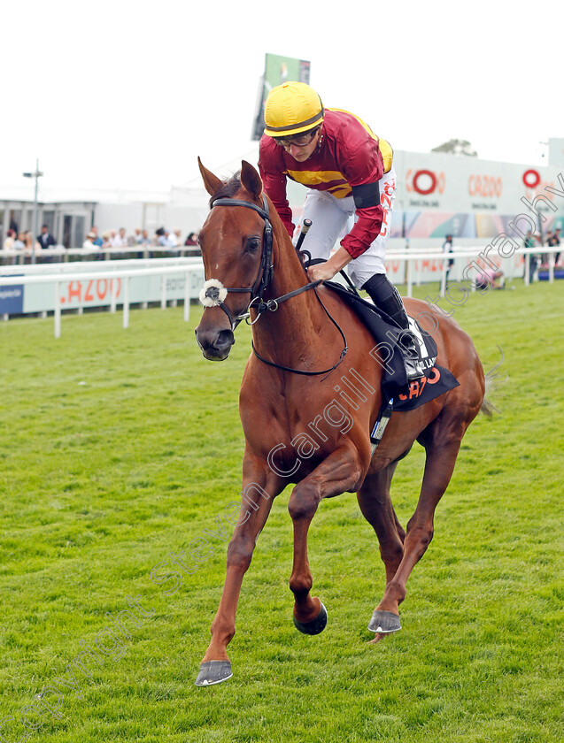 Tranquil-Lady-0001 
 TRANQUIL LADY (Tom Marquand)
Epsom 3 Jul 2022 - Pic Steven Cargill / Racingfotos.com