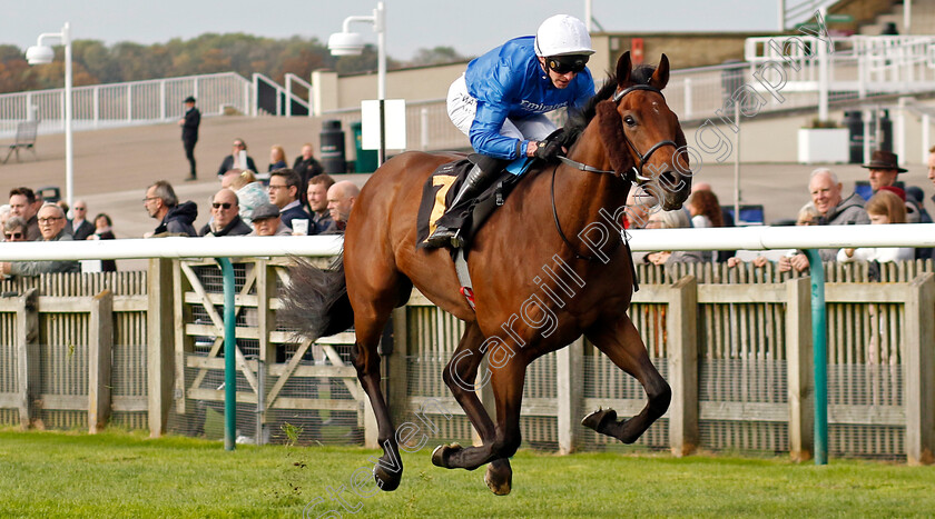 Tremorgio-0004 
 TREMORGIO (James Doyle) wins The Boodles Maiden Stakes
Newmarket 23 Oct 2024 - Pic Steven Cargill / Racingfotos.com