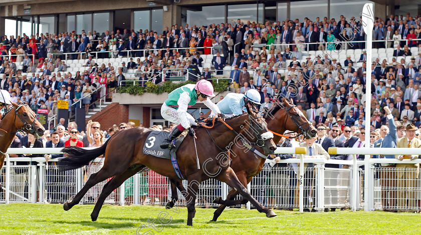 Mansa-Musa-0001 
 MANSA MUSA (farside, Rossa Ryan) beats ARRAY (nearside) in The British EBF 40th Anniversary Maiden Stakes
Goodwood 1 Aug 2023 - Pic Steven Cargill / Racingfotos.com