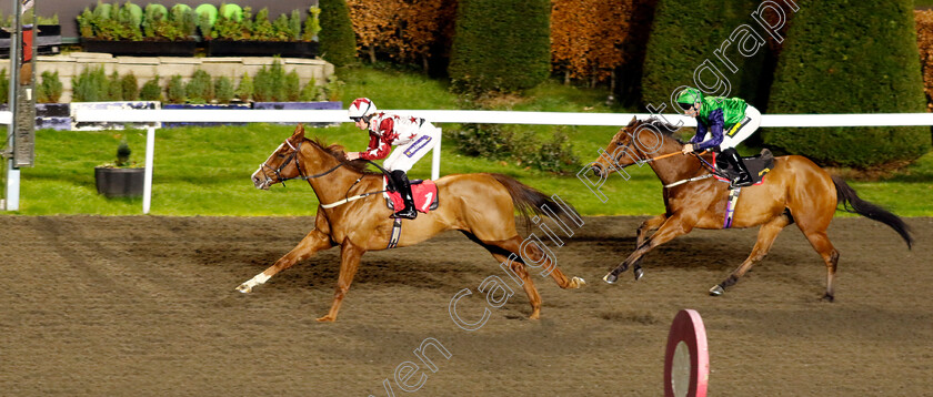 Tennessee-Gold-0001 
 TENNESSEE GOLD (Daniel Muscutt) wins The Unibet Handicap
Kempton 11 Dec 2024 - Pic Steven Cargill / Racingfotos.com