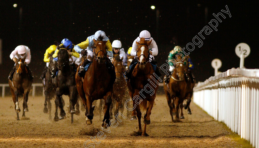 Tauteke-0005 
 TAUTEKE (left, Jim Crowley) beats SO HIGH (right) in The Irish Lotto At totesport.com British EBF Novice Stakes
Chelmsford 29 Nov 2018 - Pic Steven Cargill / Racingfotos.com