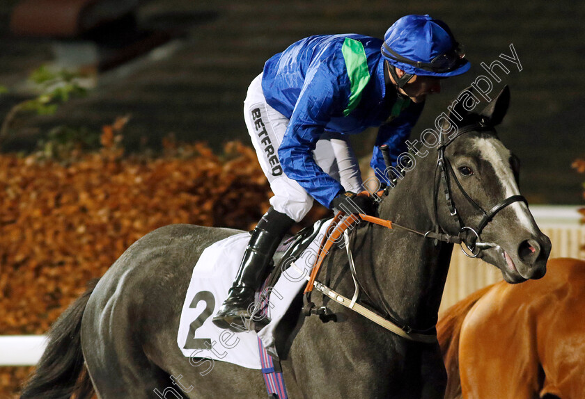 Attila-The-Honey-0001 
 ATTILA THE HONEY (Richard Kingscote)
Kempton 13 Dec 2023 - Pic Steven Cargill / Racingfotos.com