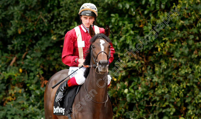 Heartwarming-0001 
 HEARTWARMING (Adam Kirby) 
Sandown 31 Aug 2019 - Pic Steven Cargill / Racingfotos.com