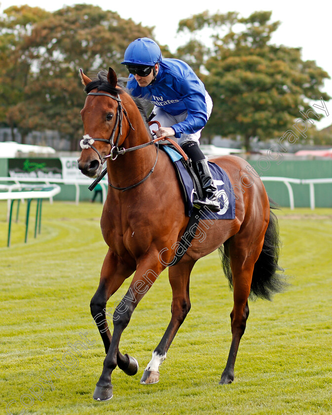 Imperial-Past-0001 
 IMPERIAL PAST (Colm O'Donoghue) winner of The Hobgoblin Legendary Ruby Ale EBF Maiden Stakes Div1 Yarmouth 20 Sep 2017 - Pic Steven Cargill / Racingfotos.com