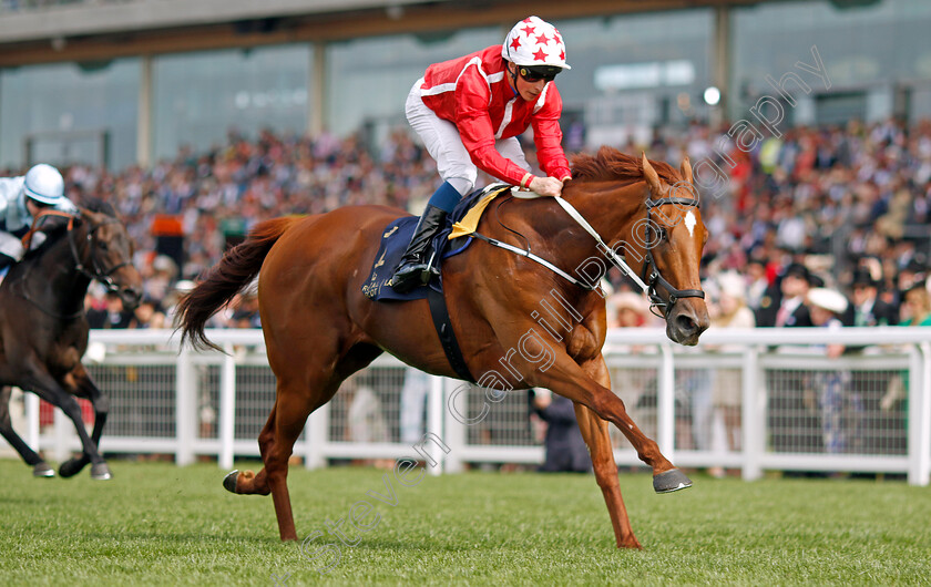 Saffron-Beach-0004 
 SAFFRON BEACH (William Buick) wins The Duke Of Cambridge Stakes
Royal Ascot 15 Jun 2022 - Pic Steven Cargill / Racingfotos.com