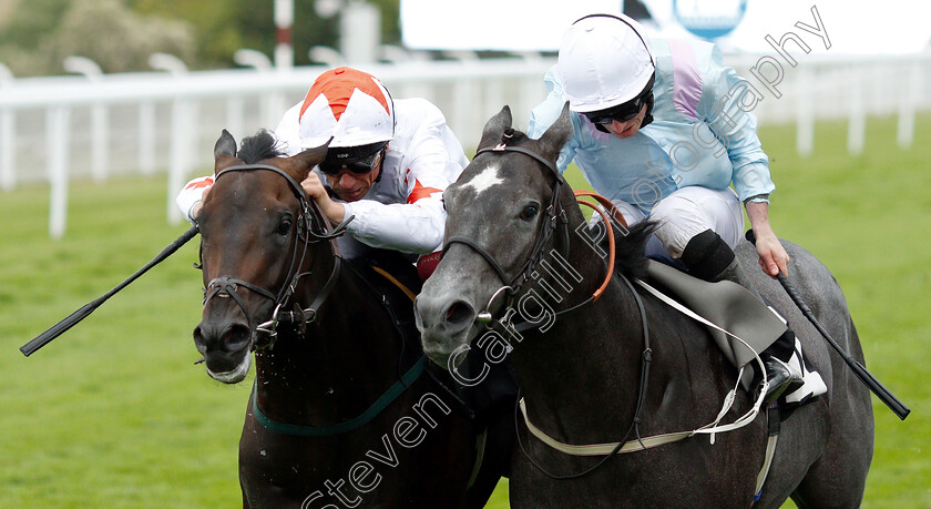 Cobra-Eye-0005 
 COBRA EYE (left, Frankie Dettori) beats FUWAYRIT (right) in The EBF Maiden Stakes
Goodwood 30 Jul 2019 - Pic Steven Cargill / Racingfotos.com