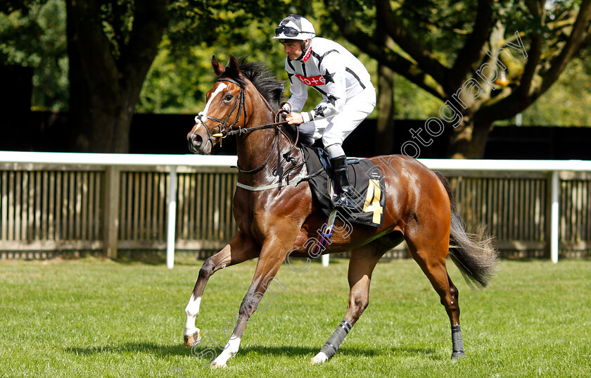 Nurseclaire-0001 
 NURSECLAIRE (Tony Hamilton)
Newmarket 7 Aug 2021 - Pic Steven Cargill / Racingfotos.com