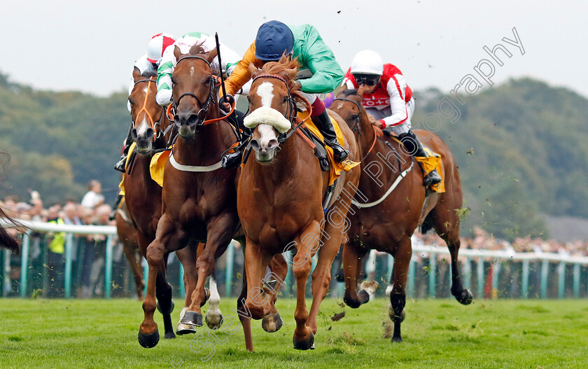 Shagraan-0005 
 SHAGRAAN (Oisin Murphy) wins The Betfair Be Friendly Handicap
Haydock 7 Sep 2024 - Pic Steven Cargill / Racingfotos.com