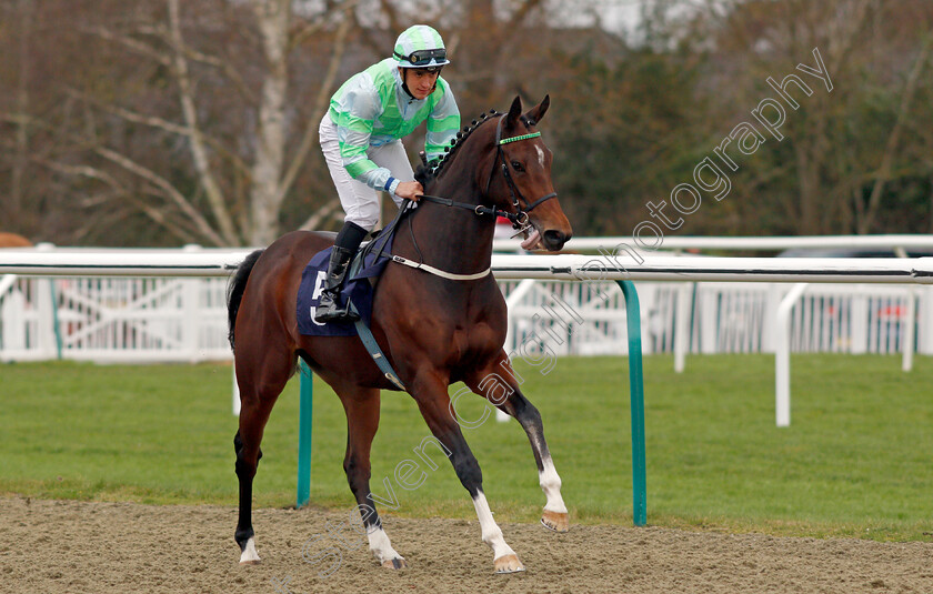 Adabbah 
 ADABBAH (Pierre-Louis Jamin)
Lingfield 1 Dec 2021 - Pic Steven Cargill / Racingfotos.com