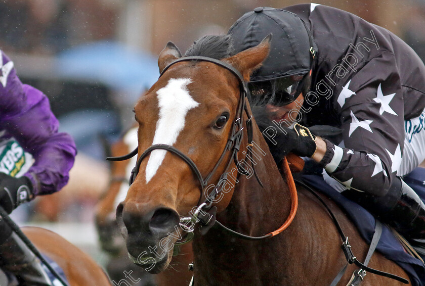 Radio-Goo-Goo-0001 
 RADIO GOO GOO (Ben Curtis) wins The Camden Pale Ale Handicap
Chester 10 May 2023 - Pic Steven Cargill / Racingfotos.com