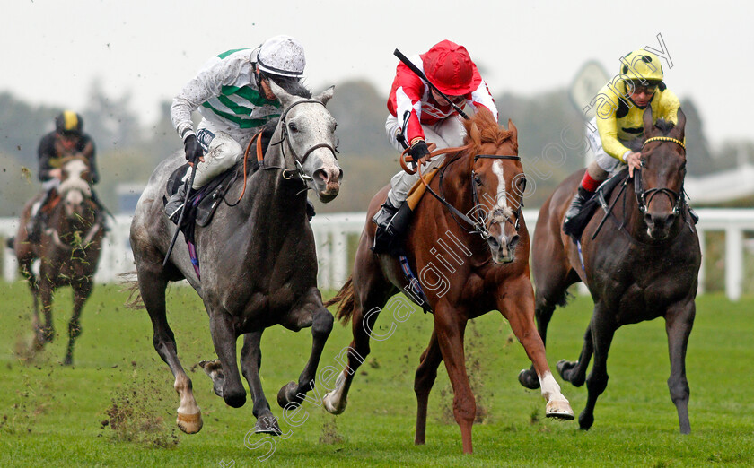 Berkshire-Rocco-0005 
 BERKSHIRE ROCCO (centre, Oisin Murphy) beats ALBAFLORA (left) in The Teentech Noel Murless Stakes
Ascot 2 Oct 2020 - Pic Steven Cargill / Racingfotos.com