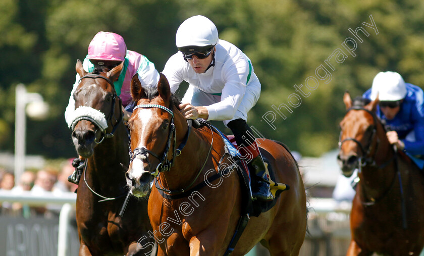 Epictetus-0007 
 EPICTETUS (Martin Harley) wins The Weatherbys British EBF Maiden Stakes
Newmarket 8 Jul 2022 - Pic Steven Cargill / Racingfotos.com