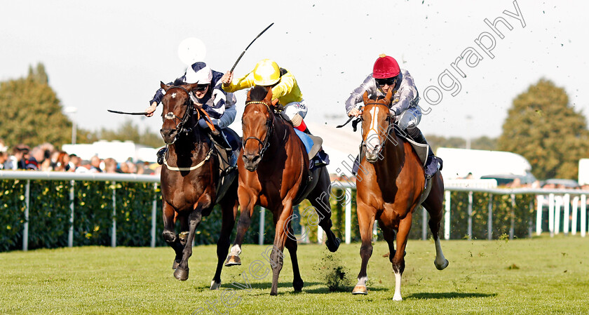 Qaysar-0001 
 QAYSAR (right, Pat Dobbs) beats BAYROOT (centre) and BALTIC BARON (left) in The P J Towey Construction Ltd Handicap
Doncaster 14 Sep 2019 - Pic Steven Cargill / Racingfotos.com