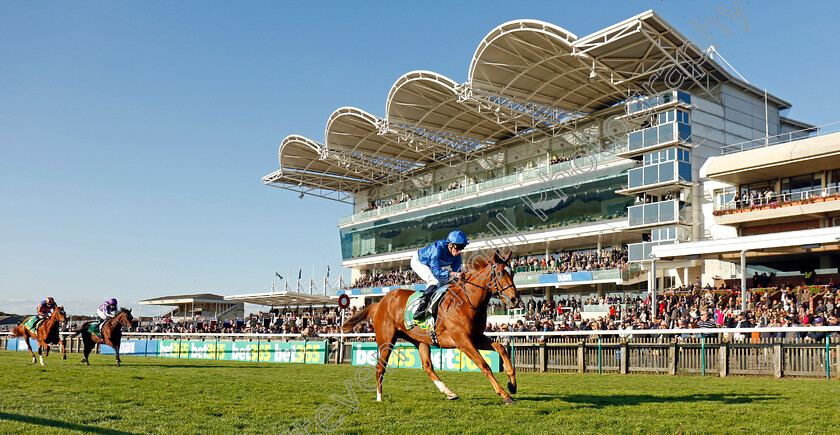 Desert-Flower-0001 
 DESERT FLOWER (William Buick) wins The bet365 Fillies Mile
Newmarket 11 Oct 2024 - pic Steven Cargill / Racingfotos.com