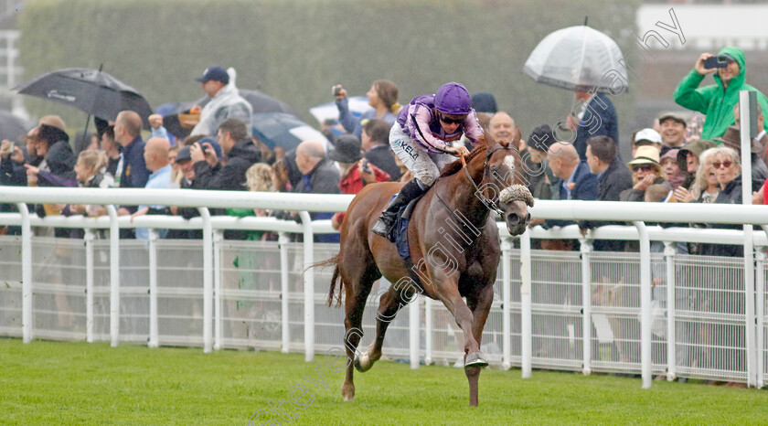 The-Goat-0004 
 THE GOAT (Jason Watson) wins The Coral Handicap
Goodwood 2 Aug 2023 - Pic Steven Cargill / Racingfotos.com