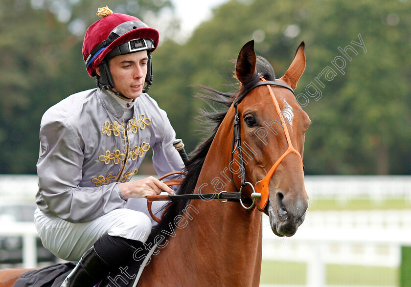 Al-Gaiya-0002 
 AL GAIYA (Rossa Ryan)
Ascot 7 Sep 2019 - Pic Steven Cargill / Racingfotos.com