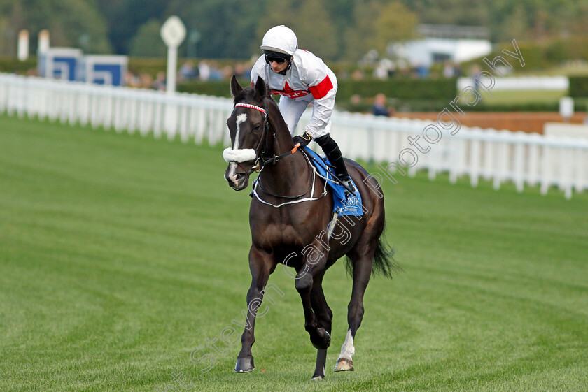 Independence-0001 
 INDEPENDENCE (Thomas Greatrex)
Ascot 1 Oct 2021 - Pic Steven Cargill / Racingfotos.com