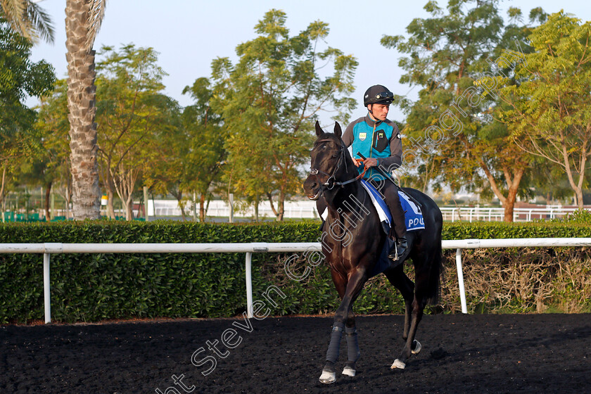 Pogo-0001 
 POGO (Kieran Shoemark) training for The Godolphin Mile
Meydan, Dubai, 24 Mar 2022 - Pic Steven Cargill / Racingfotos.com