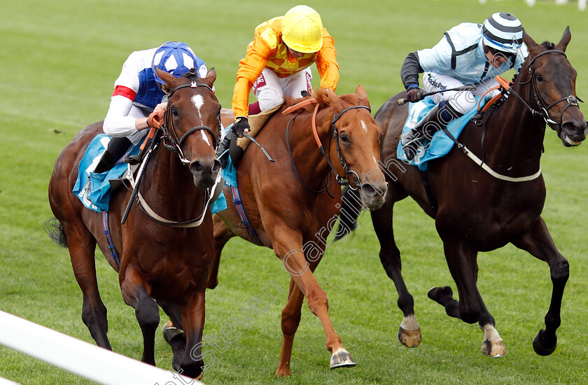 Themaxwecan-0004 
 THEMAXWECAN (left, James Doyle) beats SLEEPING LION (centre) and BLUE LAUREATE (right) in The John Guest Racing Brown Jack Handicap
Ascot 26 Jul 2019 - Pic Steven Cargill / Racingfotos.com